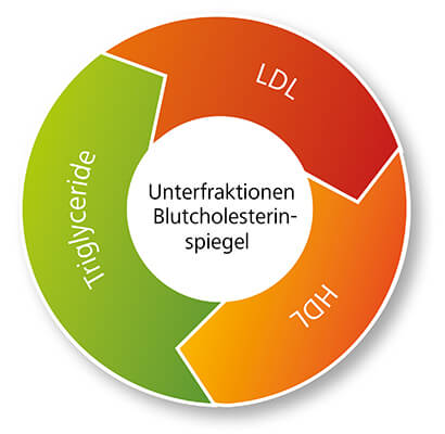Gesamtcholesterin (LDL,HDL und Triglyceriden)