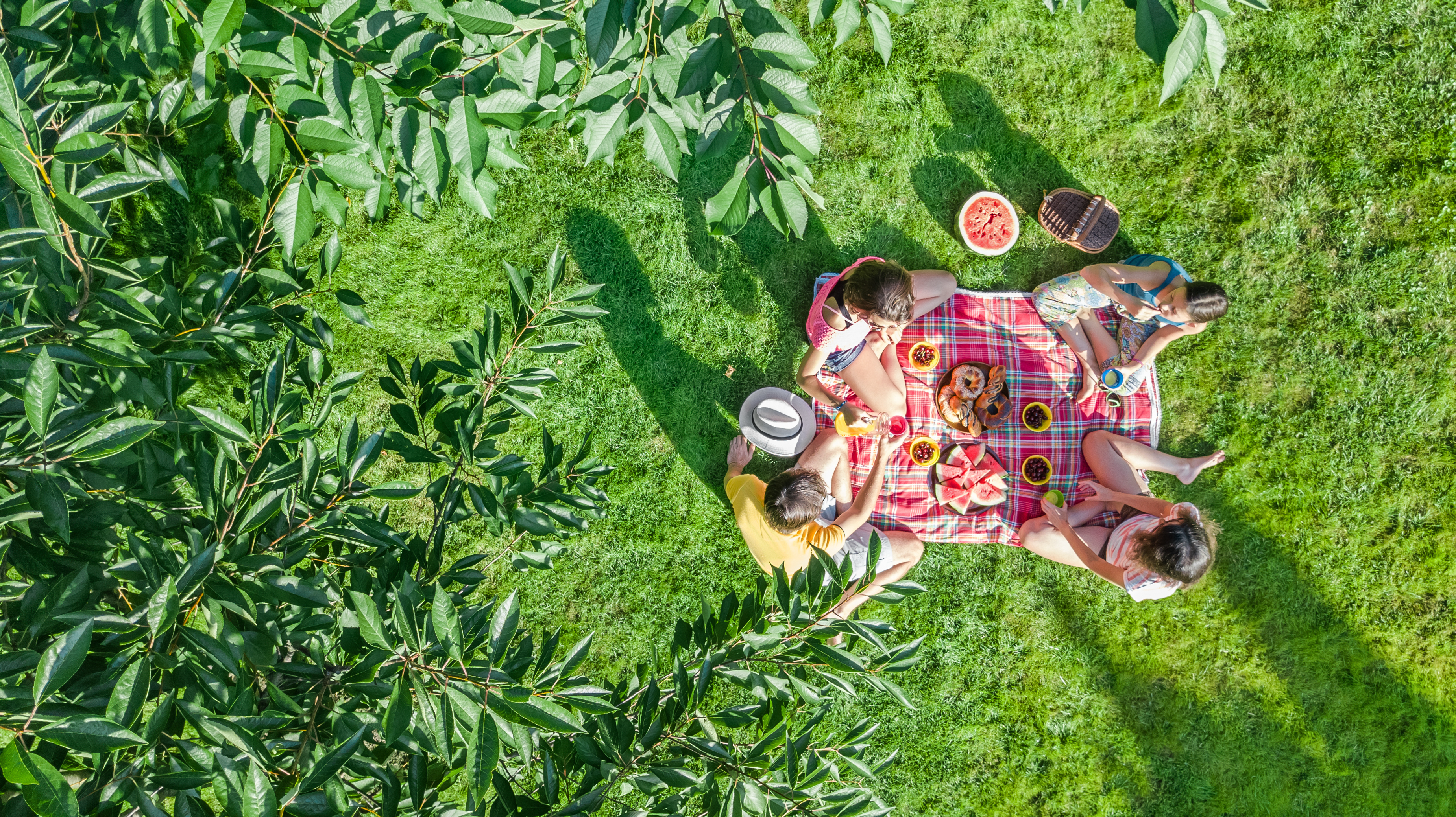 Die ultimative Egle Picknick Packliste