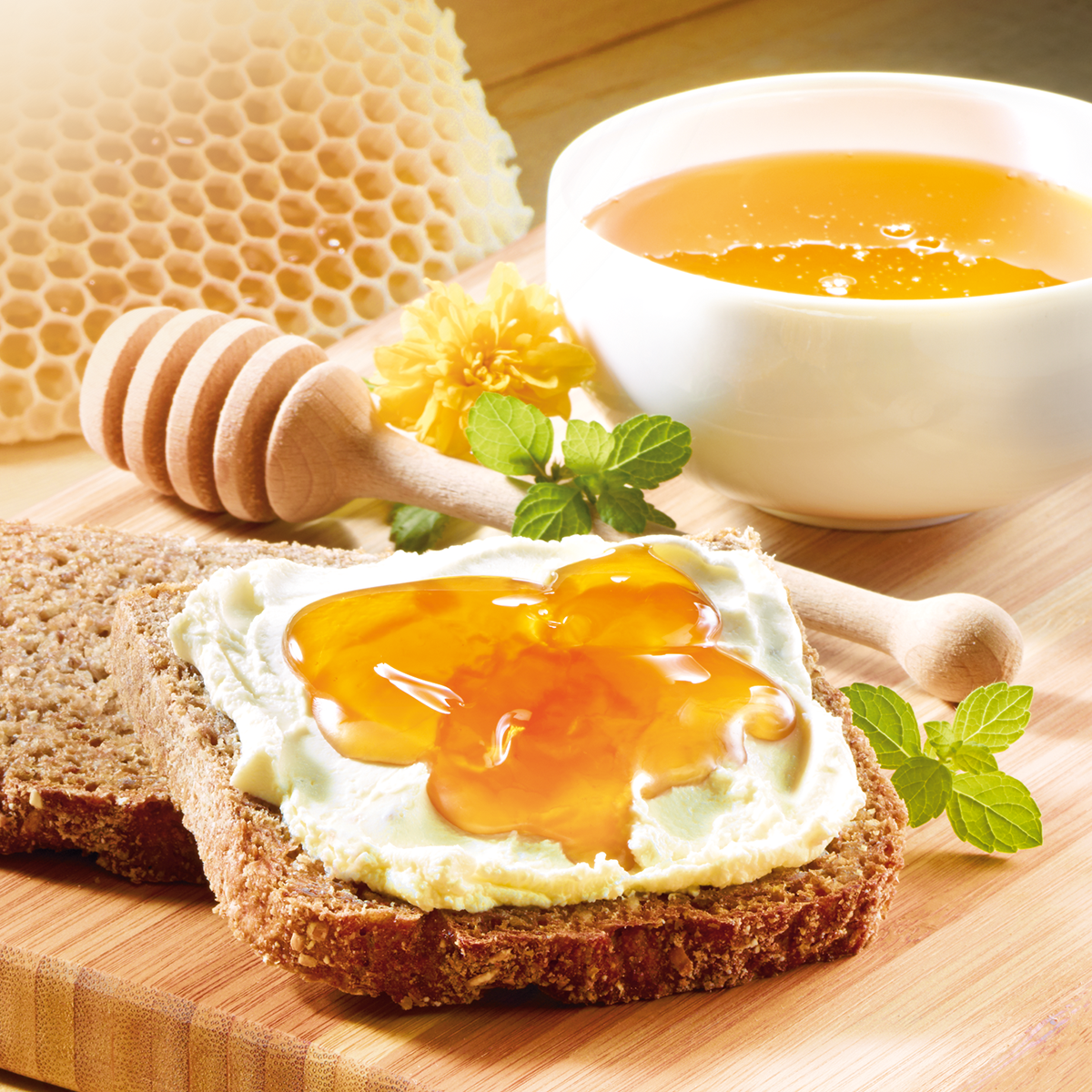 BIO Waldhonig, 500 g