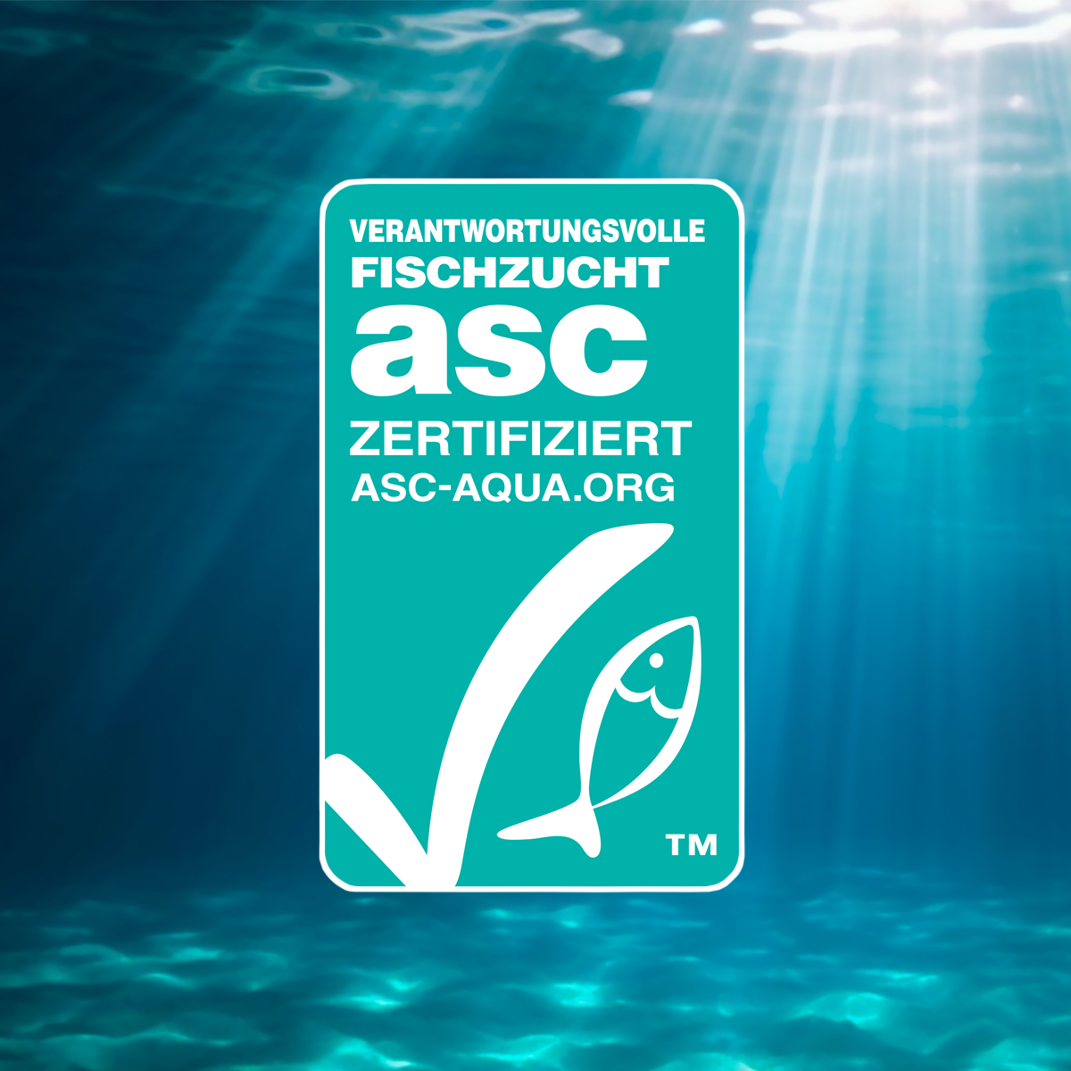 Forellen-Filets, geräuchert, 2 x 110 g