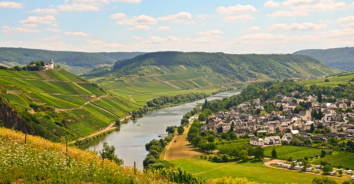 Das unterscheidet Bio-Wein von konventionellem Wein