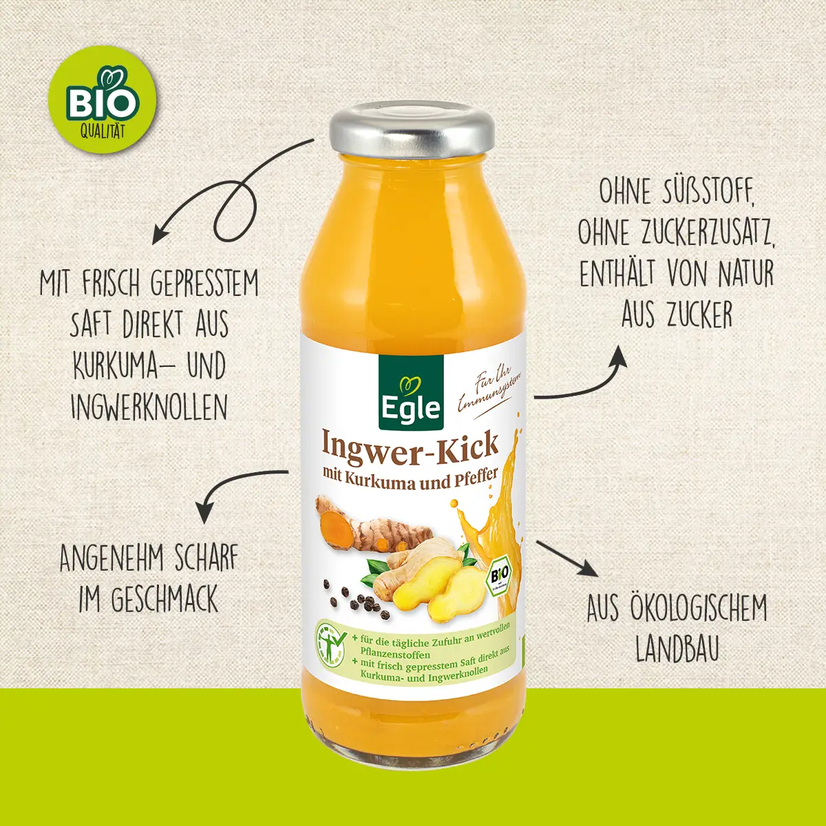 BIO Ingwer-Kick, 2 x 280 ml