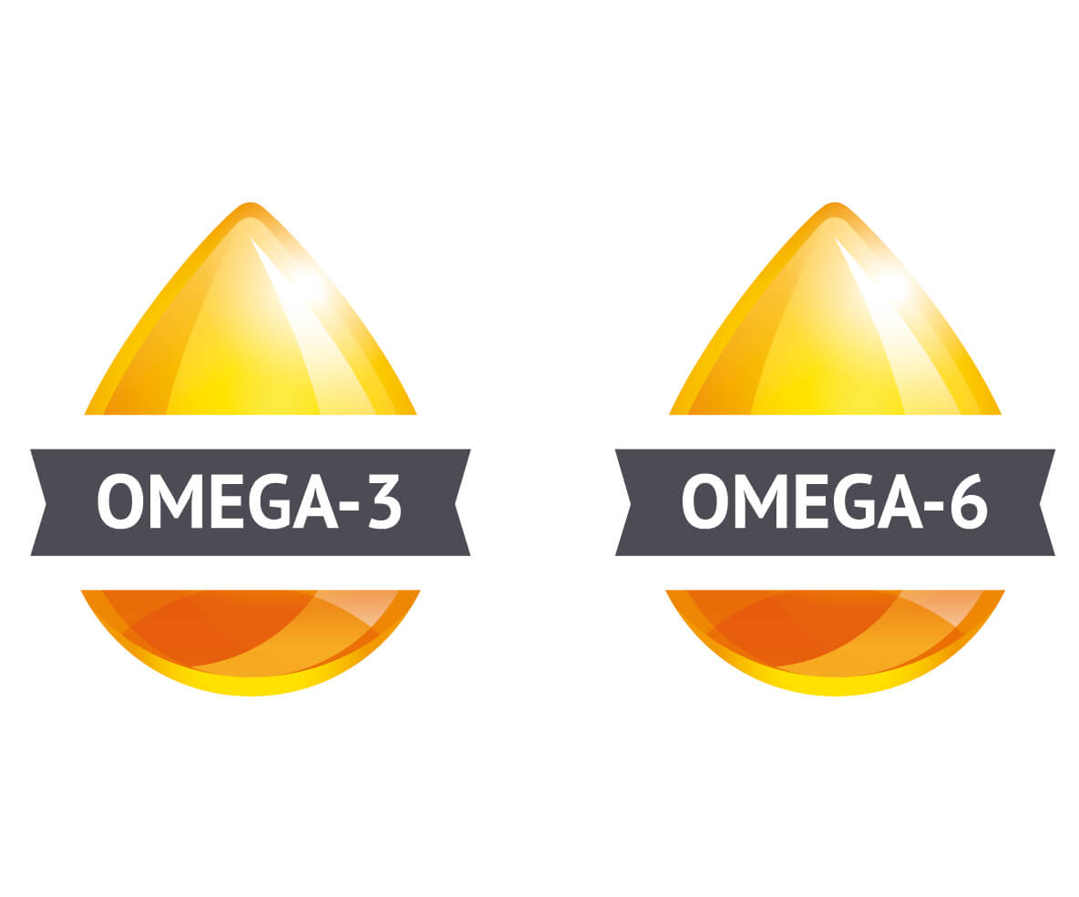 Omega-3-und-Omega-6