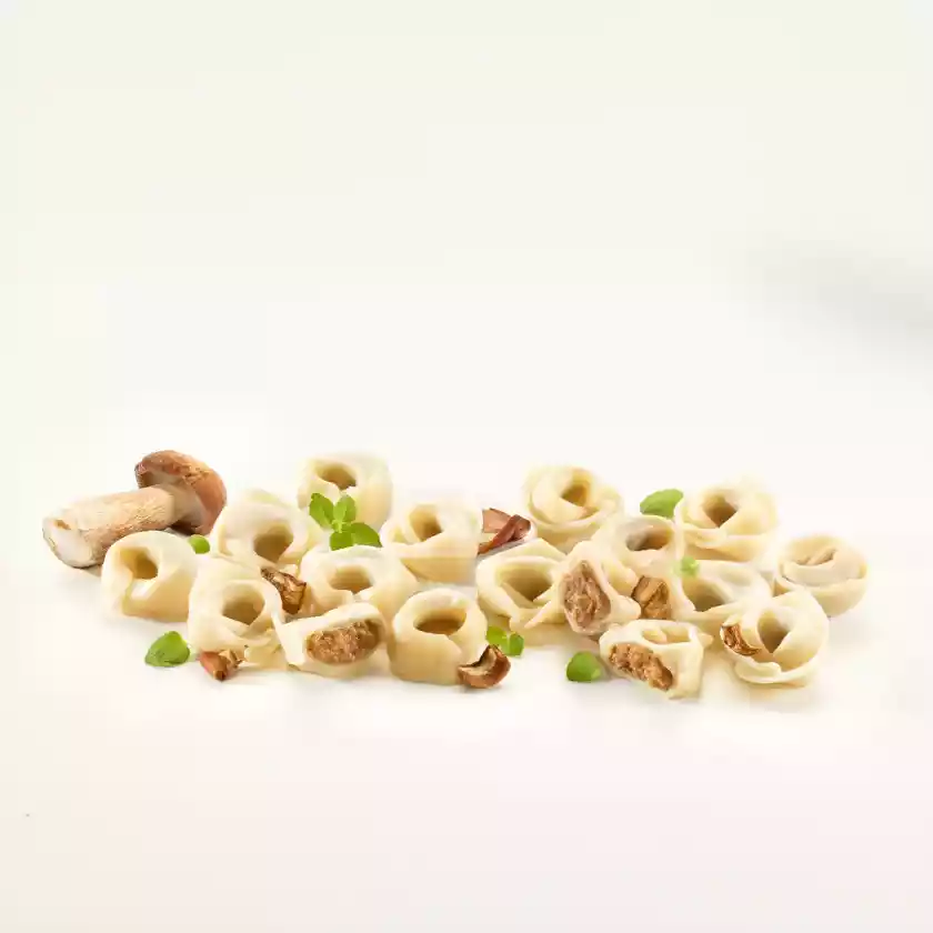 BIO Tortellini mit Steinpilzfüllung, 2 x 250 g