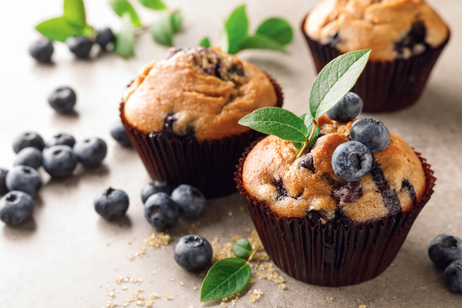Rezept: Heidelbeer-Muffins