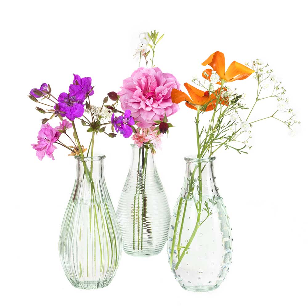 Gratis 3er Set Glasvasen Gratis 3er Set Glasvasen